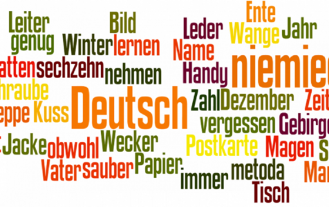 Nauka słówek za pomocą fiszek oraz rysunków.