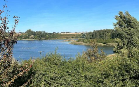 Relacja ze Szkolnego Marszu Nordic Walking