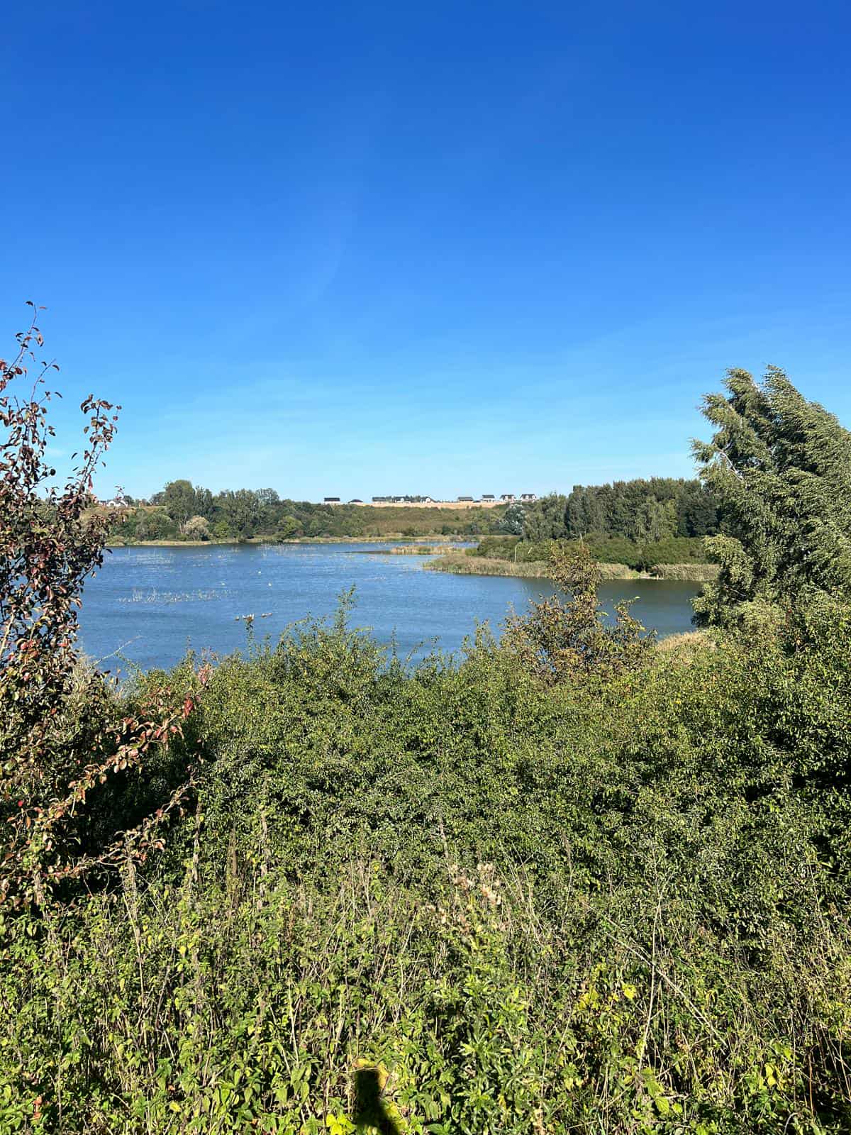 Relacja ze Szkolnego Marszu Nordic Walking