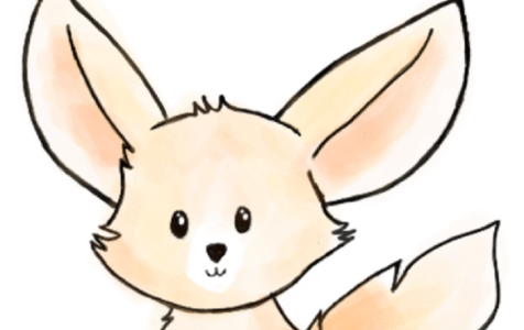 Ogólnopolski Konkurs Matematyczny Fenek