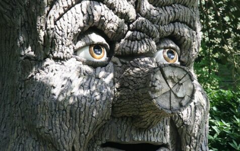 Dzień Postaci z Bajek